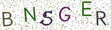 BNSGER