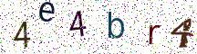 4e4br4