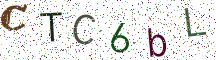 CTC6bL