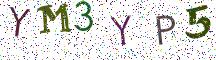 YM3YP5