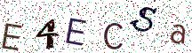 E4ECSa