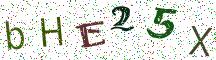 bHE25X