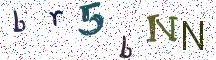 br5bNN