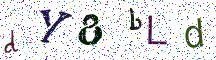 dY8bLd