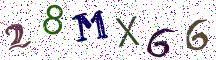 28MX66