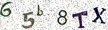 65b8TX