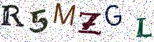 R5MZGL