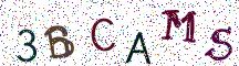 3BCAMS