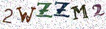 2WZZM2
