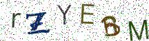 rZYEBM