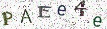 PAEe4e
