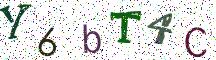 Y6bT4C