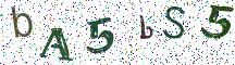 bA5bS5