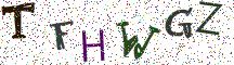 TFHWGZ