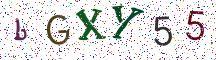 bGXY55