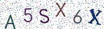 A5SX6X
