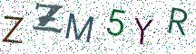ZZM5YR