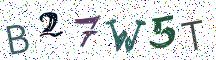 B27W5T
