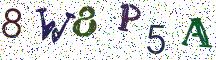 8W8P5A