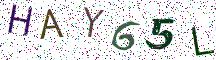 HAY65L