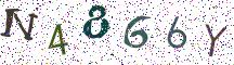 N4866Y