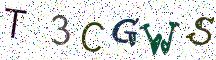 T3CGWS