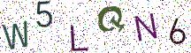 W5LQN6
