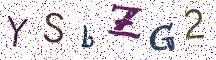 YSbZG2