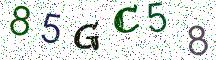 85GC58
