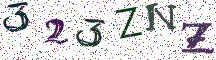 323ZNZ