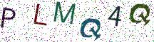 PLMQ4Q