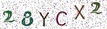 28YCX2