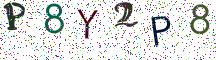 P8Y2P8