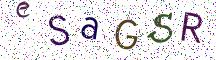 eSaGSR
