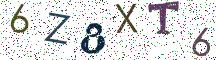 6Z8XT6