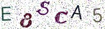 E8SCA5