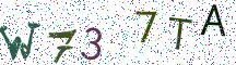 W737TA