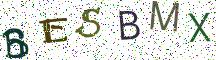 BESBMX