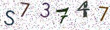 S73747