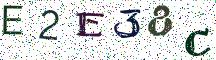 E2E38C