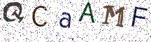 QCaAMF