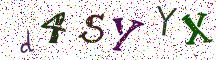 d4SYYX