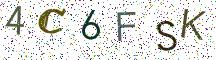 4C6FSK