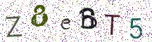 Z8eBT5