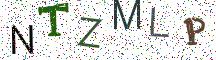 NTZMLP