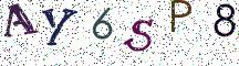 AY6SP8