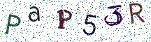 PaP53R