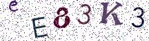 eE83K3