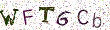 WFT6Cb