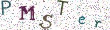 PMSTer